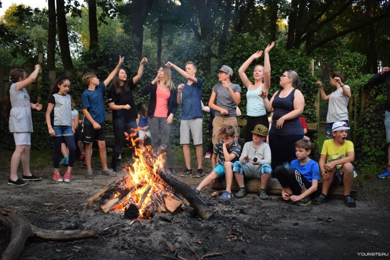 Аиу 1984 Редвуд