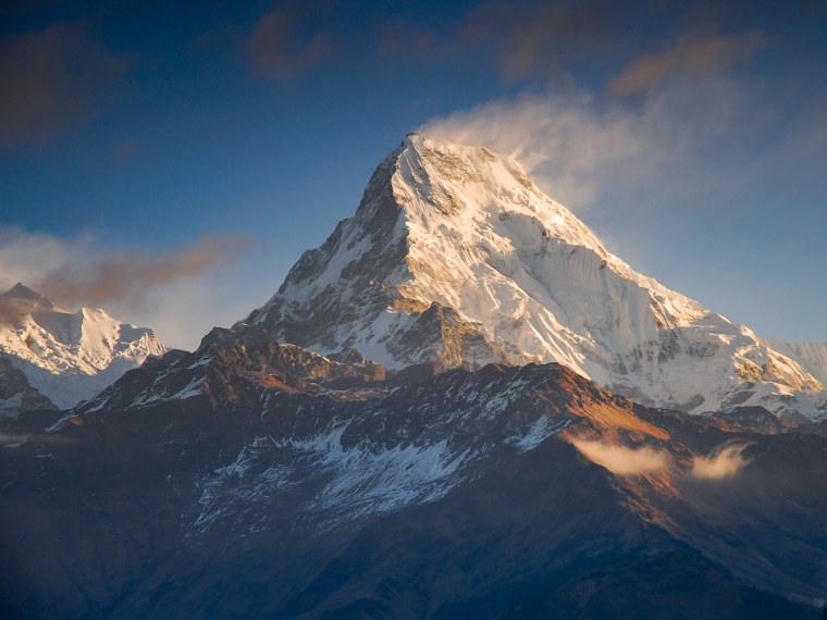 Цветущие Гималаи