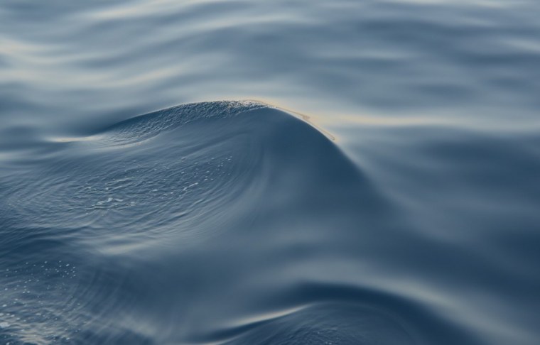 Гладь океана