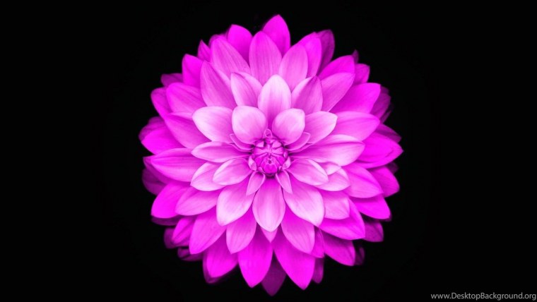 Картинки на рабочий стол телефона айфон