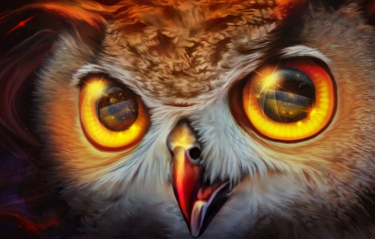 Фон для рабочего стола Сова