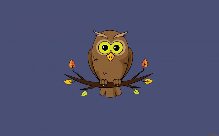 Сова Минимализм