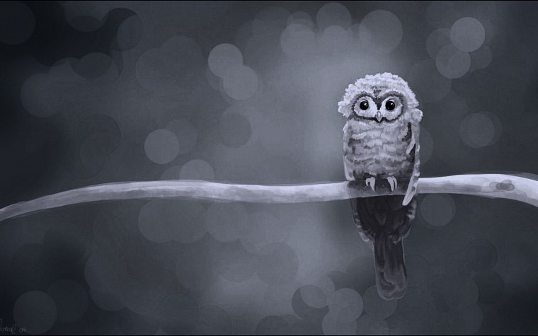 Картинки на рабочий стол Сова