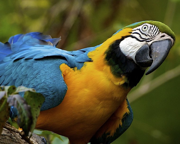 Изображения с расширением bmp