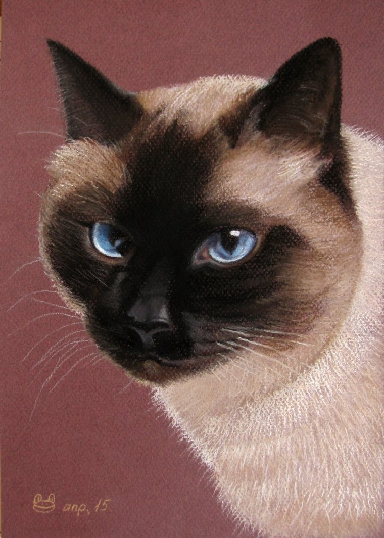 Сиамский кот шарж