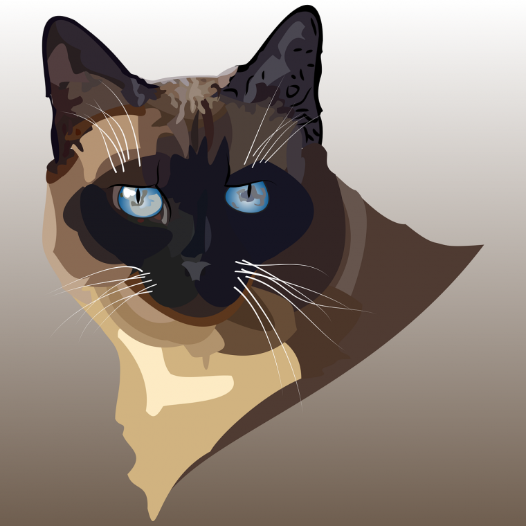 Художник Виктор Бахтин картины