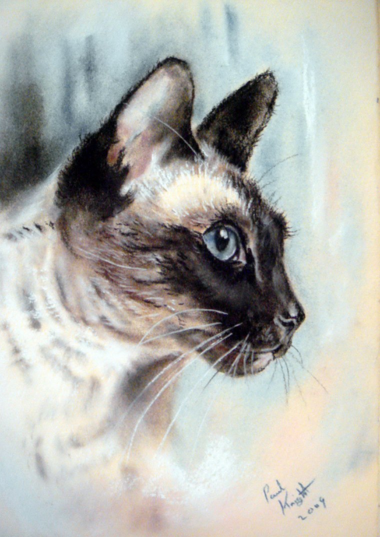 Силуэт ориентальной кошки