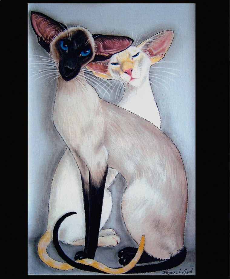 Нарисовать сиамскую кошку