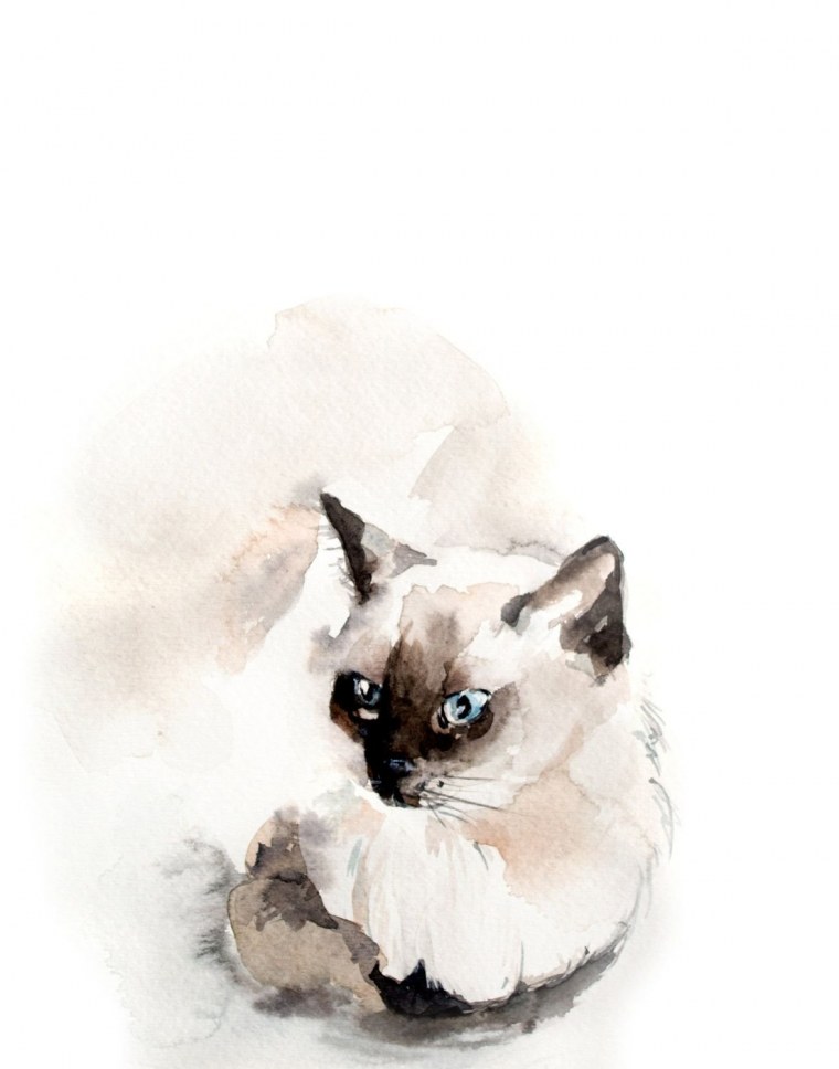 Сиамская кошка