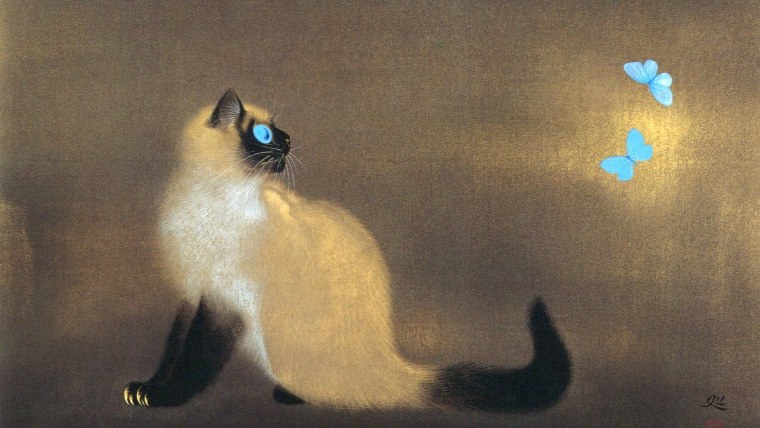 Сиамская кошка карандашом