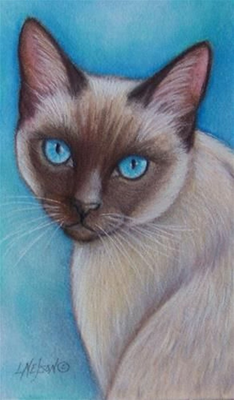 Кошка Ориентал Вотерколор