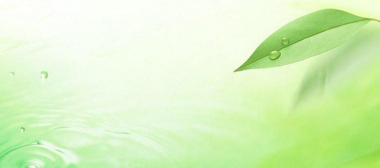 Салатовый фон