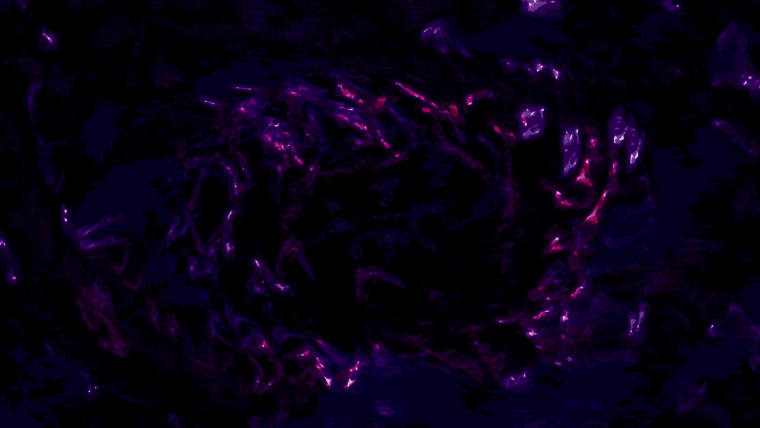 Эстетика фиолетового