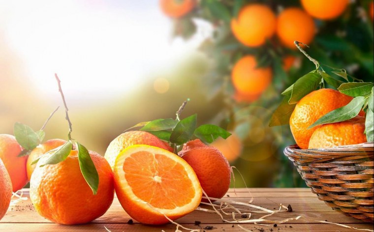 Сочный апельсин