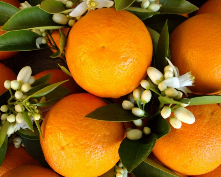Апельсины богатство