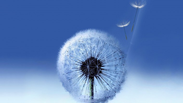 Обои самсунг s20 Ultra оригинал