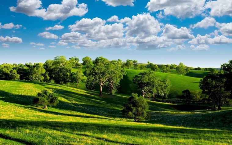 Лето природа