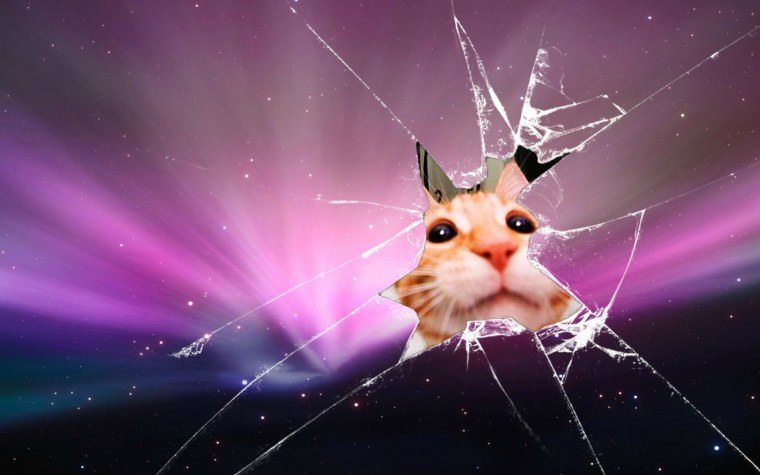 Фон на рабочий стол прикольные