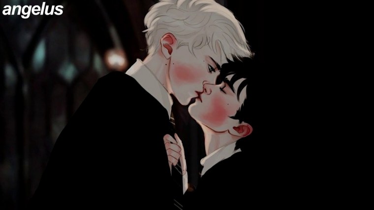 Шип шип Гарри и Драко