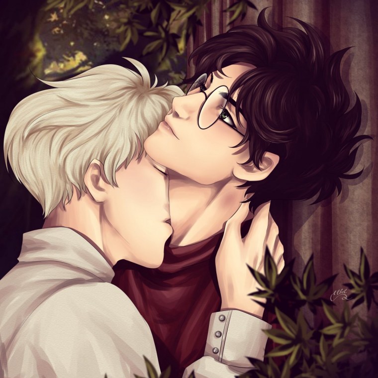 Шип Гарри и Драко