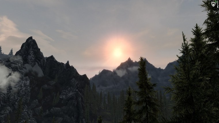 Цветы Минимализм