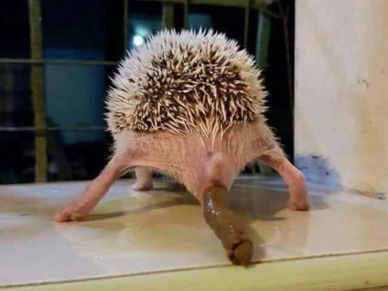 Наказывайте если рука поднимется