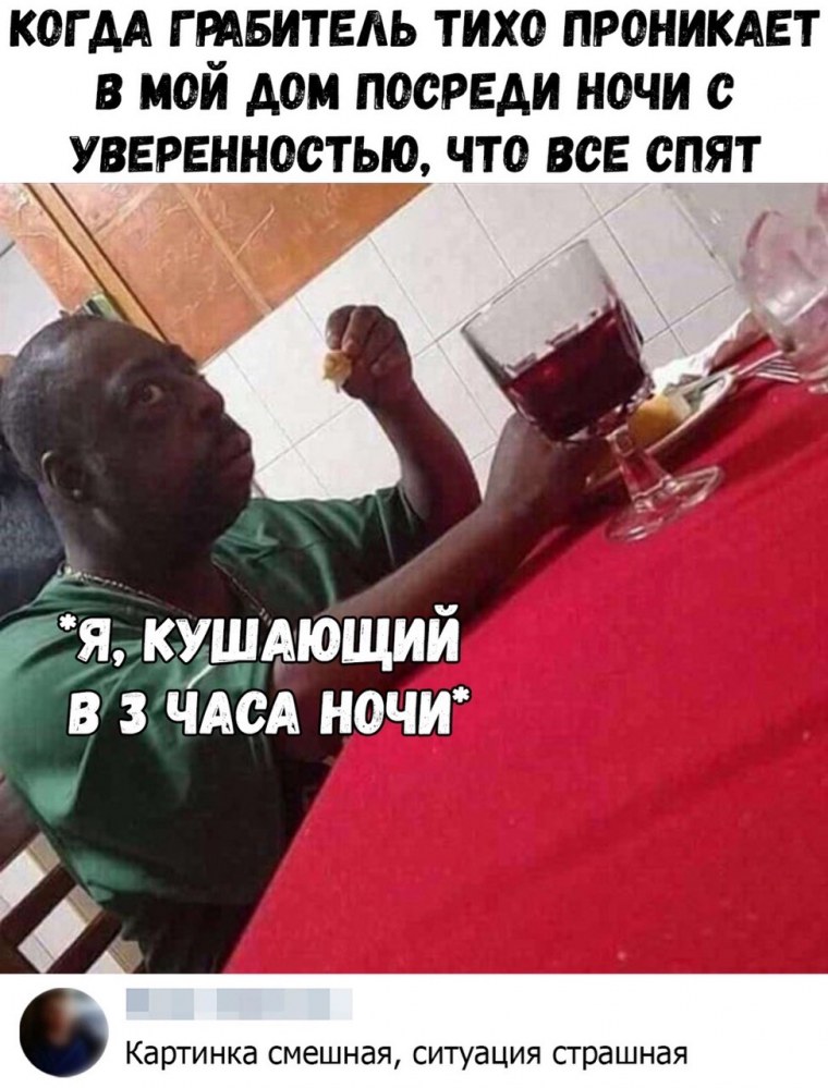 Кот курит