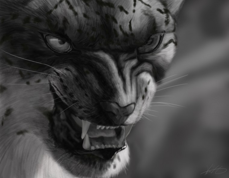 Звериный оскал