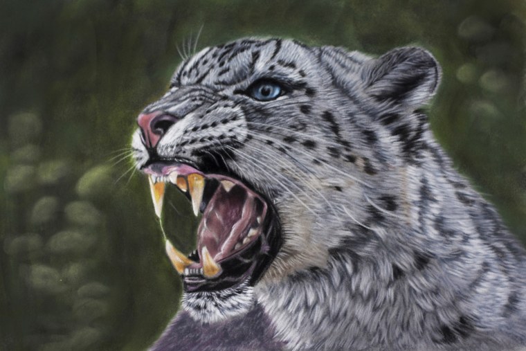 Саблезубый снежный Барс