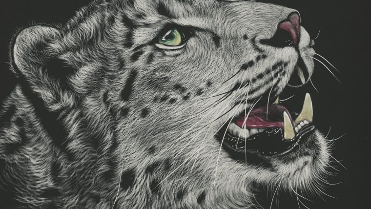 Ирбис гравюра