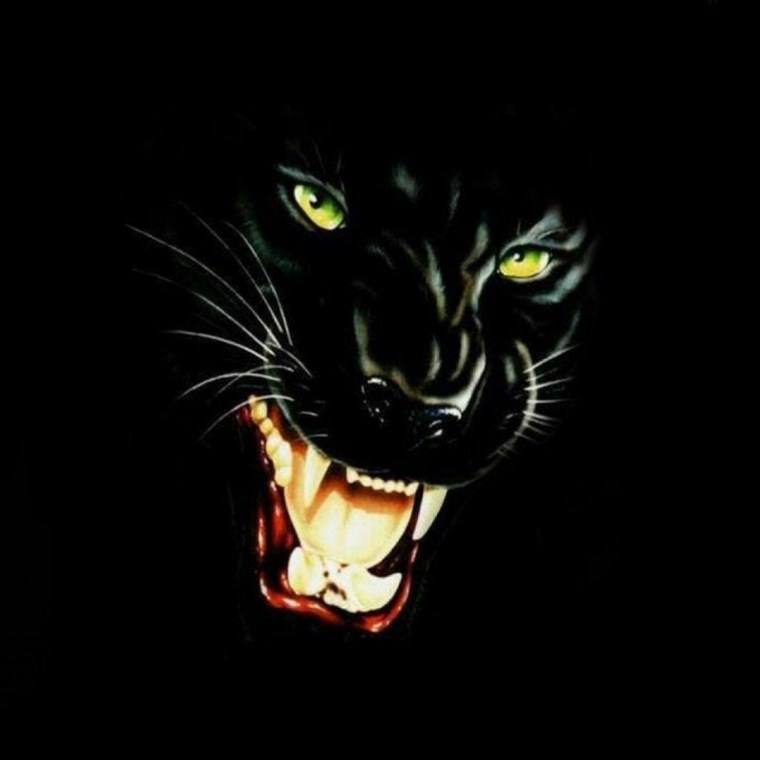 Оскал пантеры