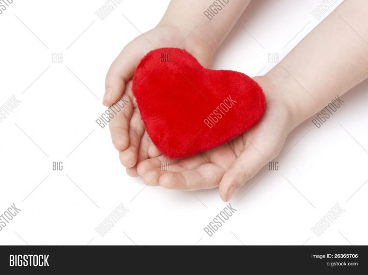 Сердце благотворительность