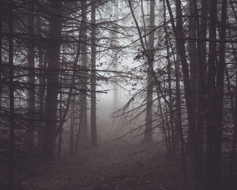 Мрачное лето