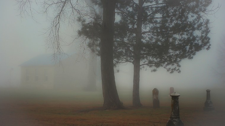 Мрачный лес шатт Вашингтон