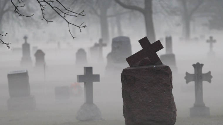 Страшный лес в Японии Аокигахара