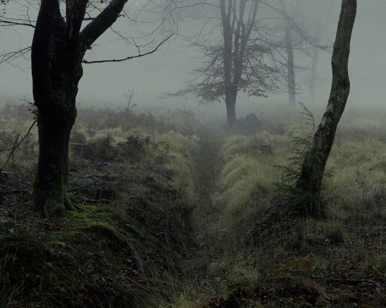 Кладбище Эстетика