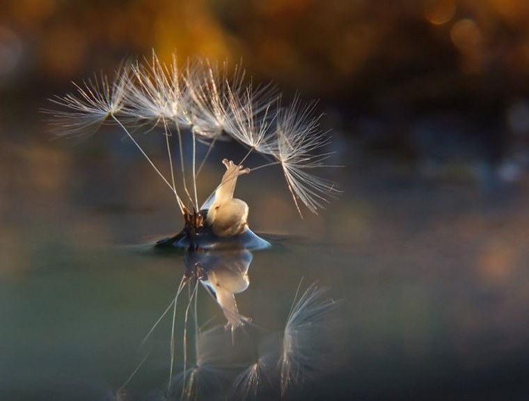 Вячеслав Мищенко фотограф