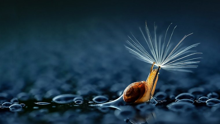 Удивительное рядом картинки