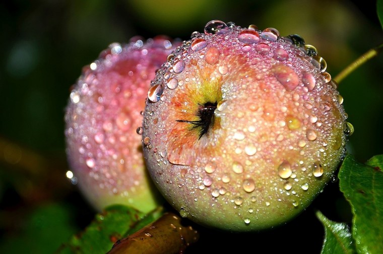 Макросъемка фруктов