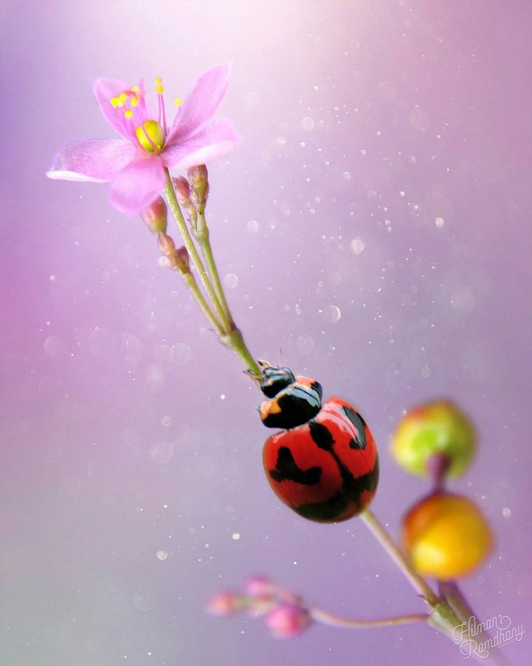 Макрофотография ложка