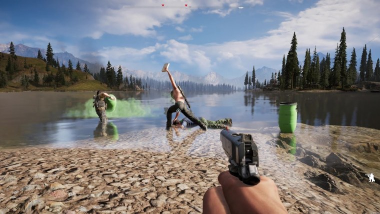 Штат Монтана far Cry 5