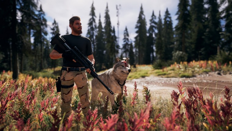 Фар край 5 семья Сидов