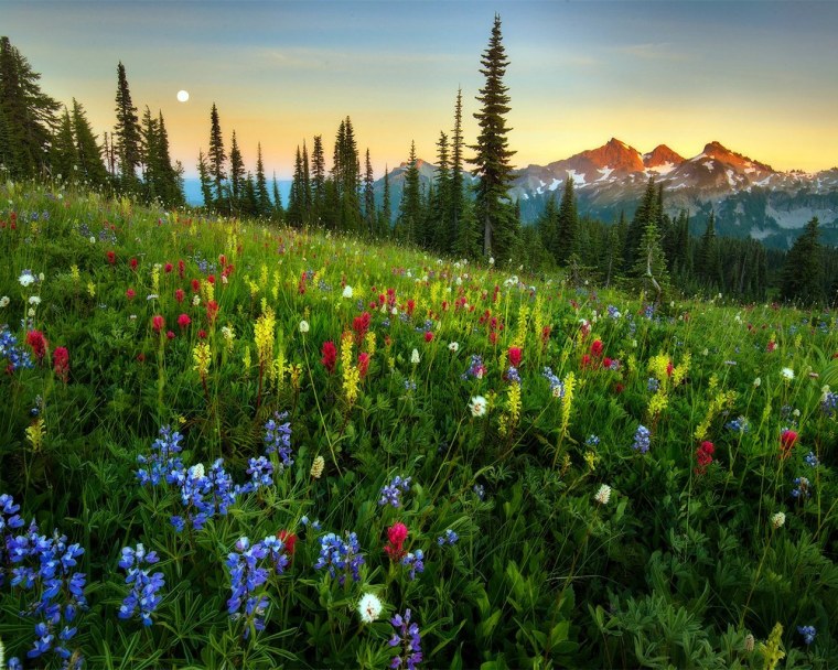 Красивые Луга