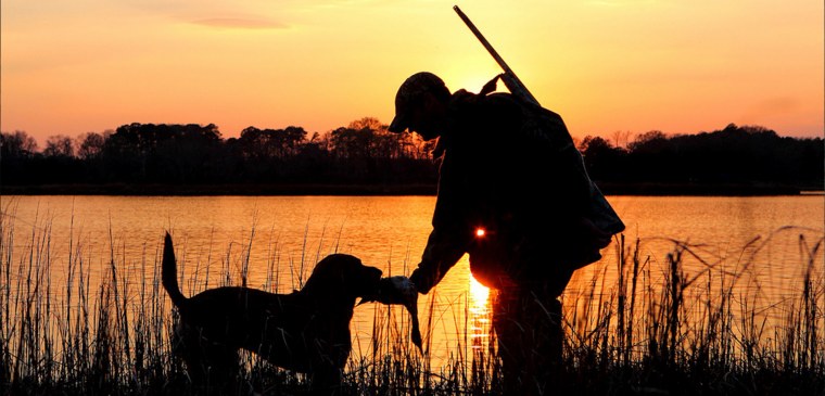 Охота красивая