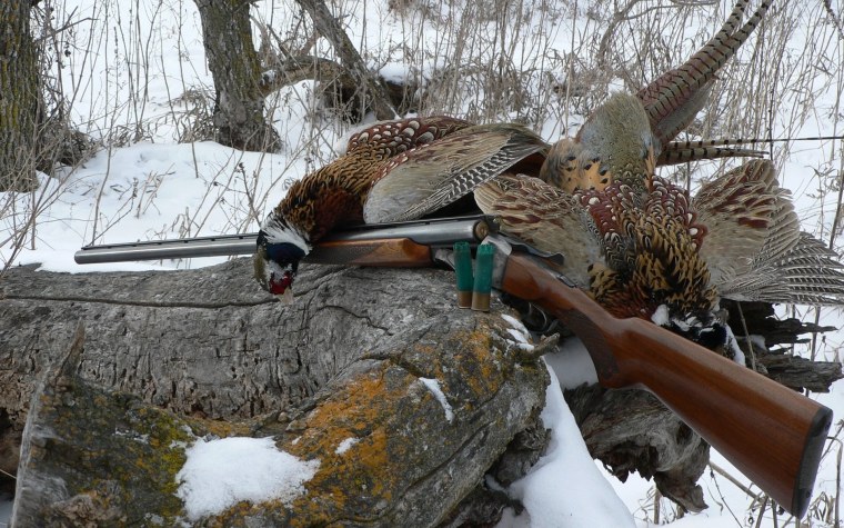 Заставка на рабочий стол охота