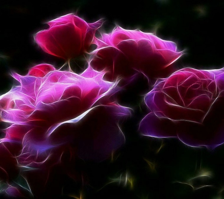 Кэрол Каваларис пурпурная роза