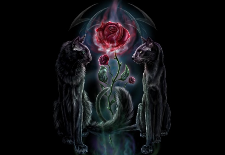 Волшебный розовый цветок