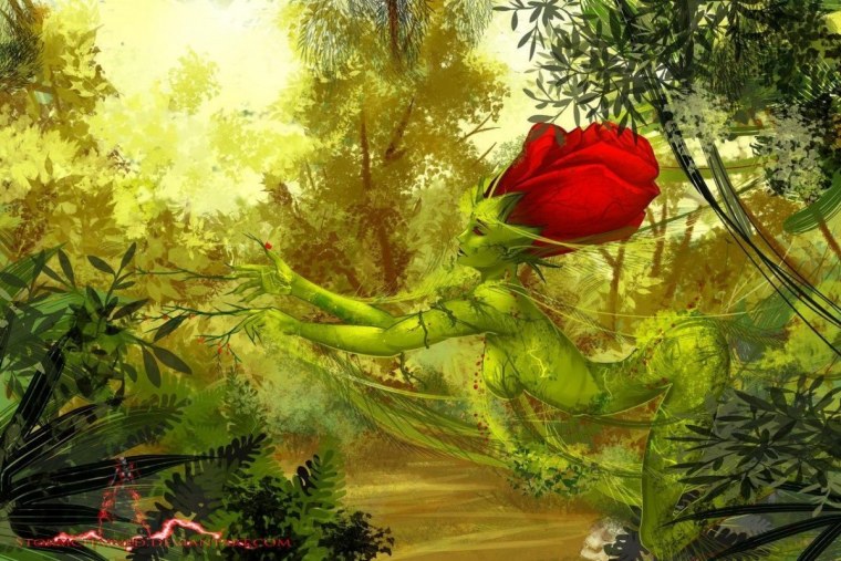 Цветы розы фэнтези