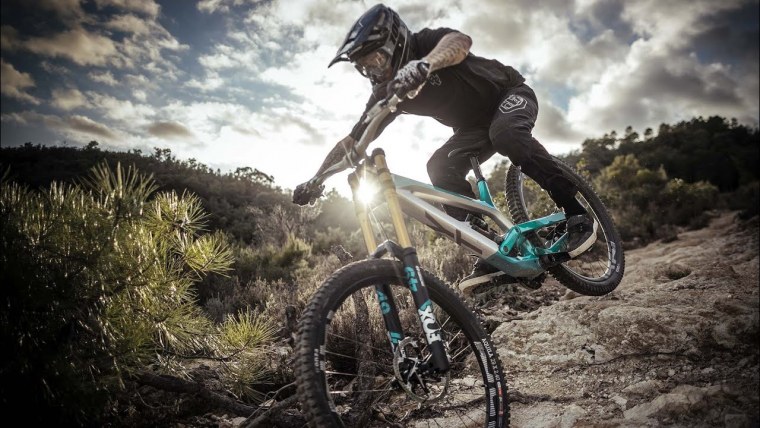 Велосипедист в лесу