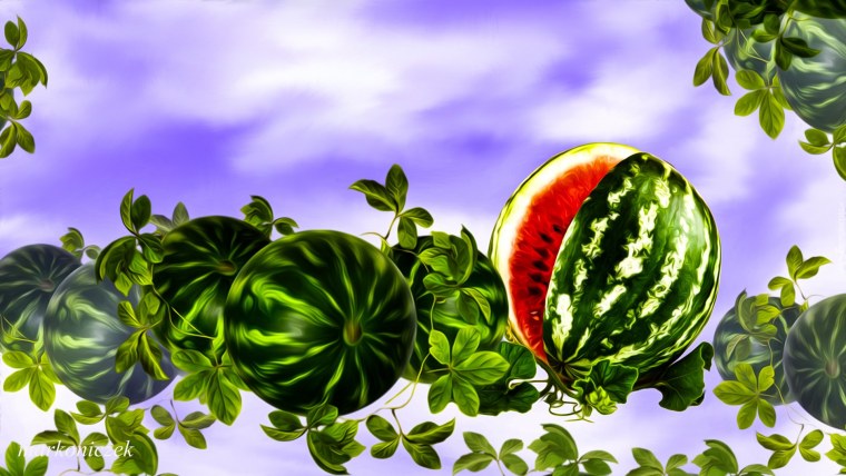 Арбузы дыни реклама